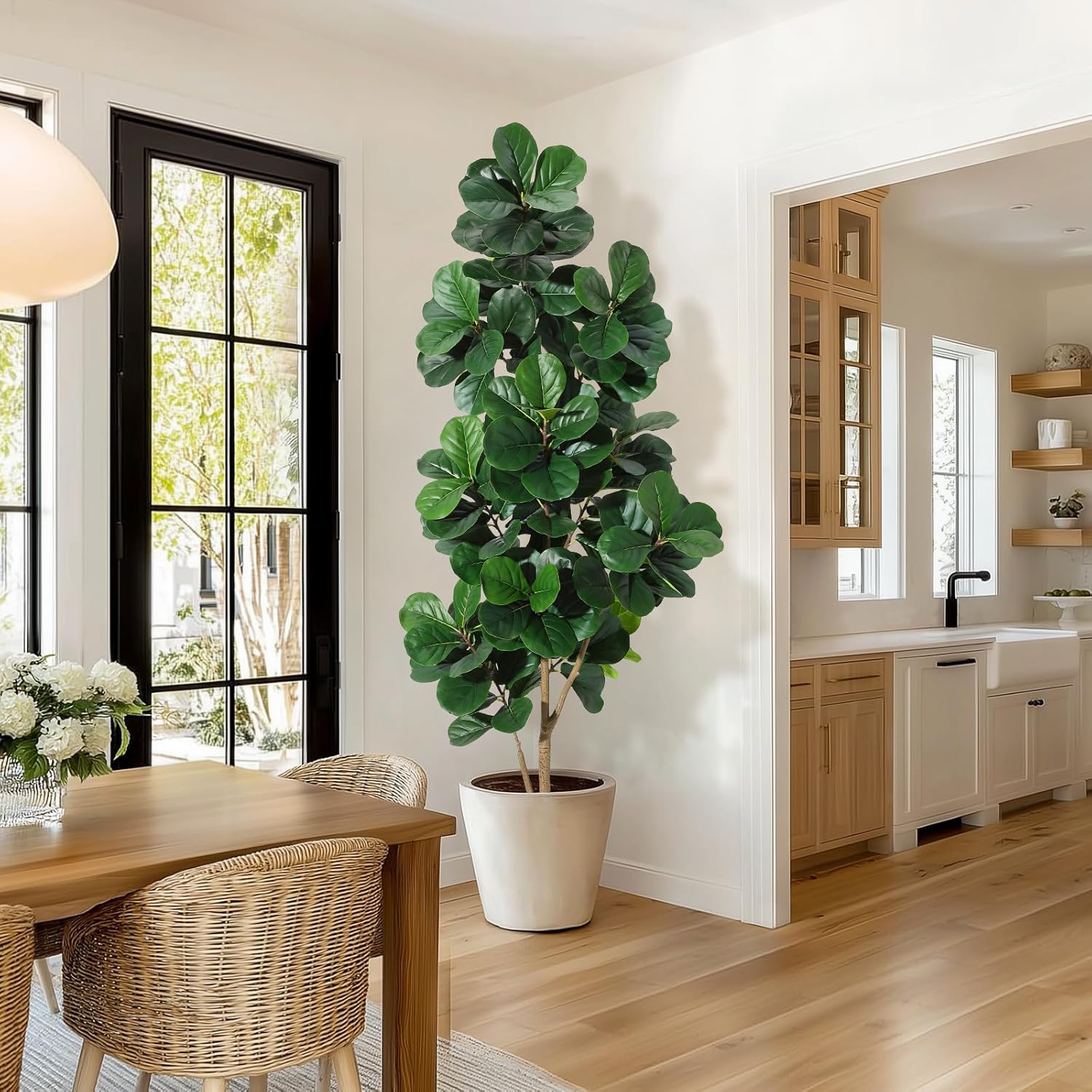 Arbre de figue en feuille de v - Ficus Lyrata Tree avis et prix
